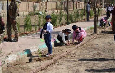 جوانان عراقی در شهرهای استان انبار درخت زیتون می کارند