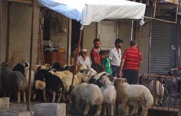 احتفالات خجولة بعيد الأضحى في إدلب المضطربة