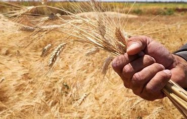 تراجع مكانة روسيا في سوريا مع تضاؤل إمدادات القمح
