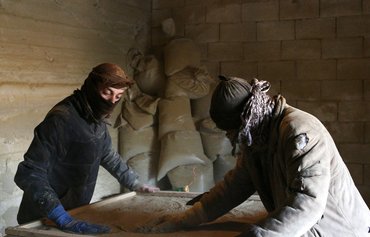 حزب الله يجند العائدين السوريين في القلمون للعمل في زراعة الحشيشة