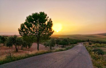 النظام السوري يبيع الأراضي الزراعية المصادرة في إدلب بالمزاد العلني