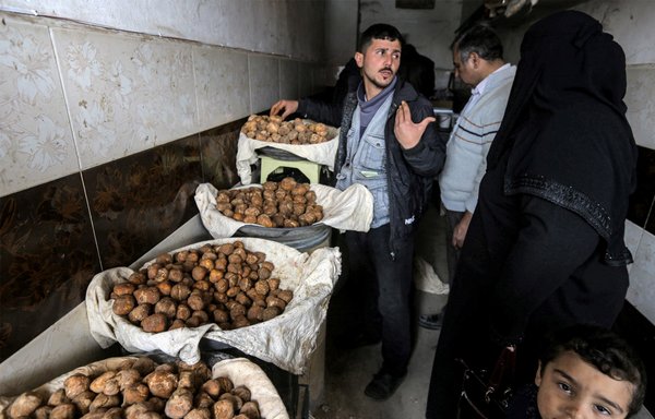 روز ۱۵ اسفند در حماه، یک فروشنده مشغول کمک به مشتریان قارچ دنبلان کوهی است. بسته به اندازه و درجهٔ کیفی قارچ دنبلان کوهی، قیمت آن به ۲۵ دلار در کیلوگرم هم می‌رسد. [لوی بشاره/خبرگزاری فرانسه]